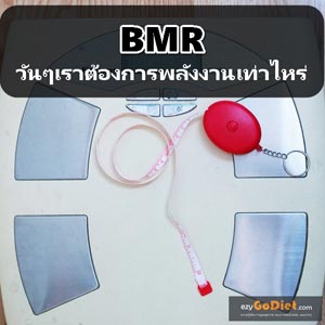 วิธีคำนวณ BMR
