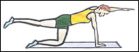 ท่า Quad knee and arm extension ฝึกกล้ามเนื้อหลังช่วงบนและกลาง