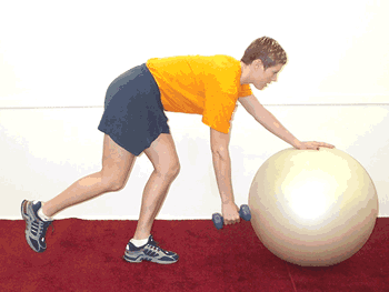 One Arm Dumbbell Rows with Ball