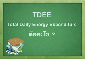 TDEE คืออะไร
