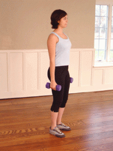 Dumbbell-Hammer-Curls
