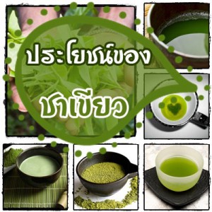 ประโยชน์ของชาเขียว