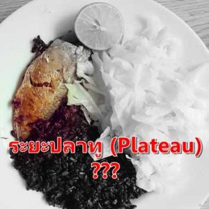 ระยะปลาทู (Plateau)