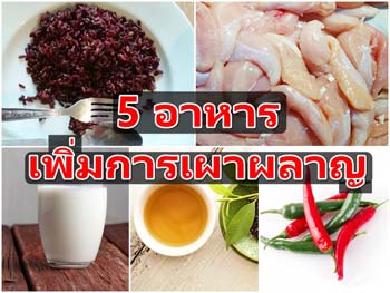 5 อาหารเพิ่มการเผาผลาญ